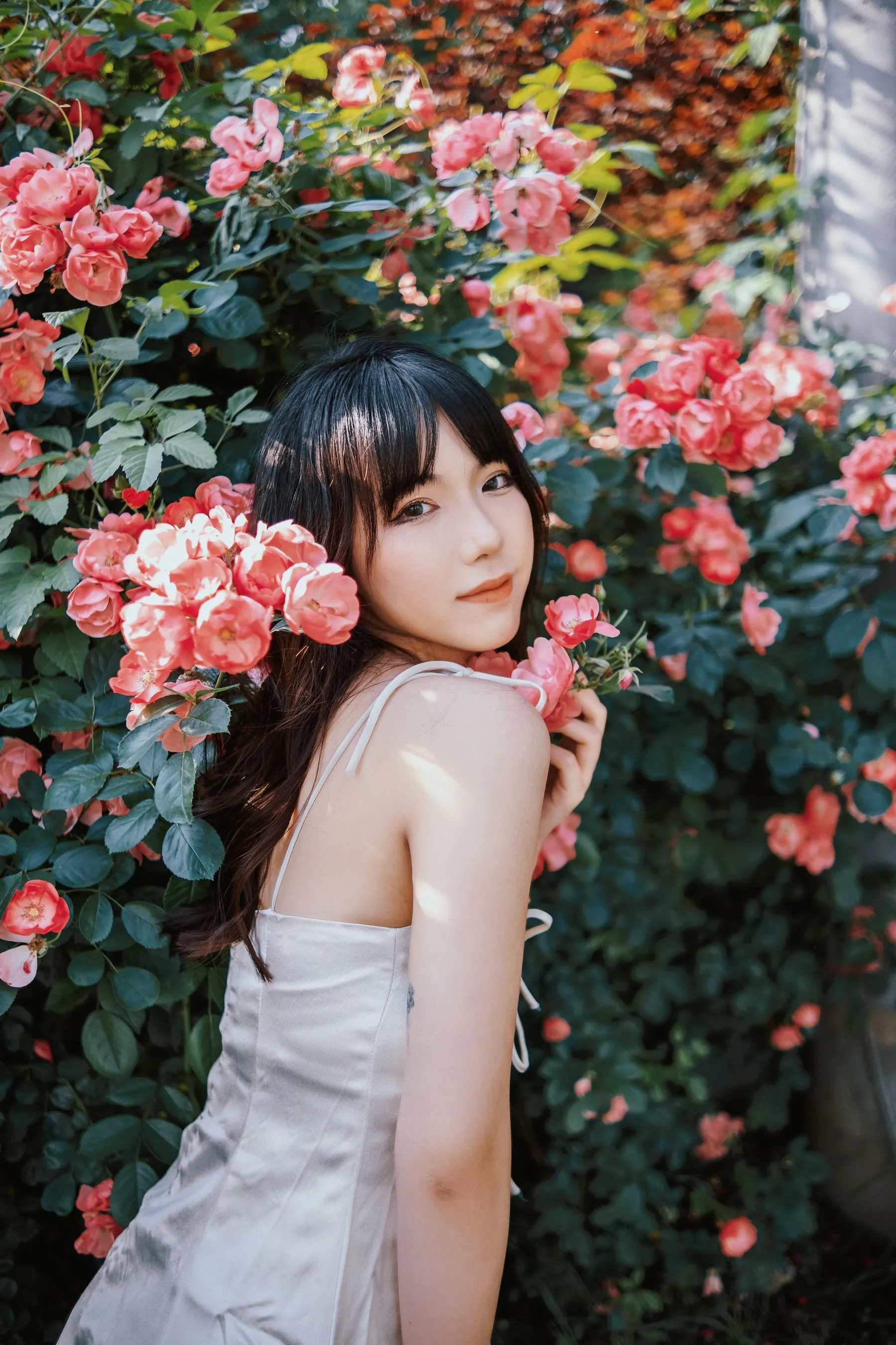[艺图语] 2022.06.10 蔷薇花下 依依 [25P]插图